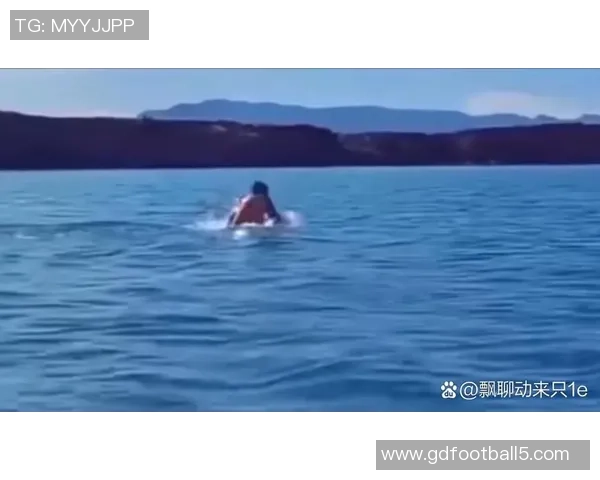 从高空跃入碧波的艺术与勇气探秘跳水运动的力量与美感