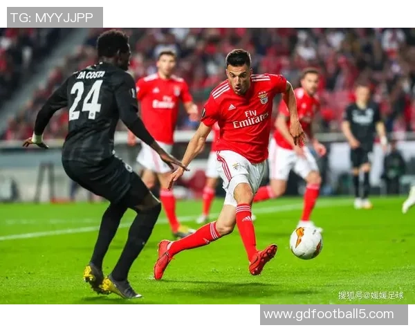 本菲卡足球俱乐部的辉煌历程与未来发展展望