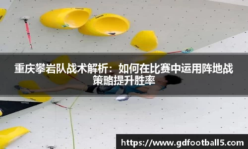 金年会